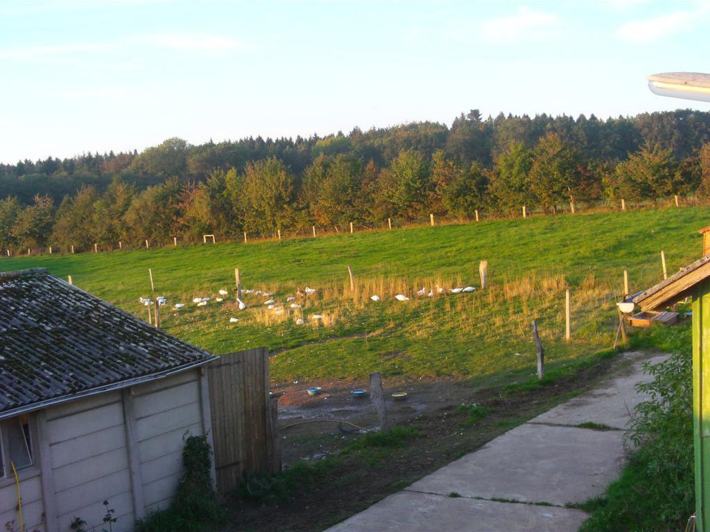 Hof Beuck Apartamento Travenhorst Exterior foto